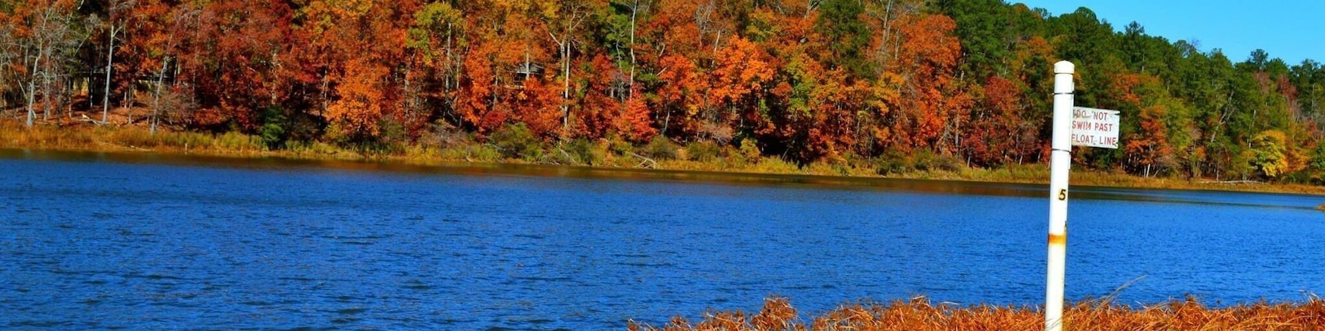 Forgot to upload this Fall hiking picture. Natural drinkable Spring water in GA! #GAstatepark #fall