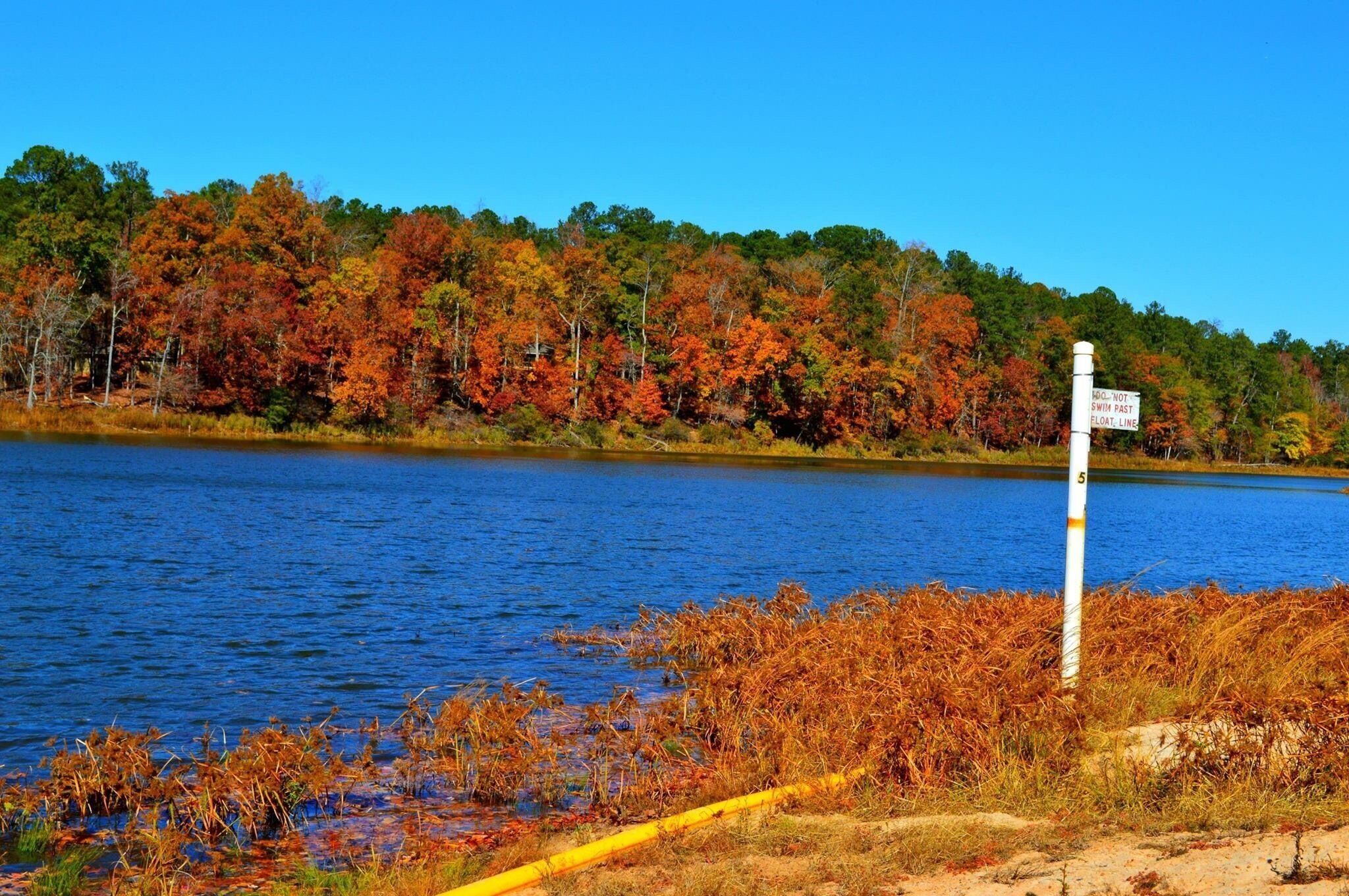 A lake with autumn foliage, a yellow safety line, and a sign warning against swimming past a certain point.