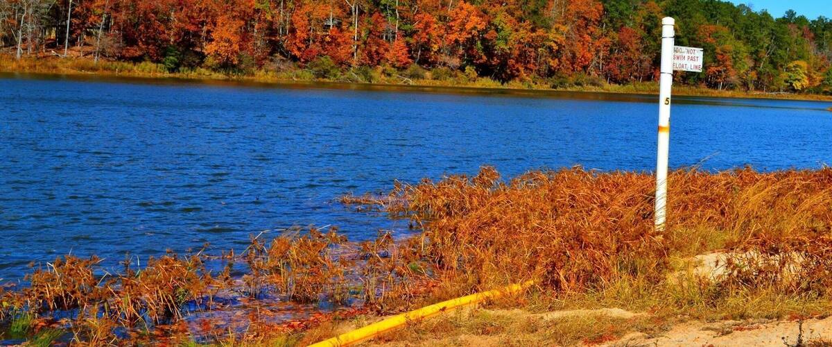 A lake with autumn foliage, a yellow safety line, and a sign warning against swimming past a certain point.