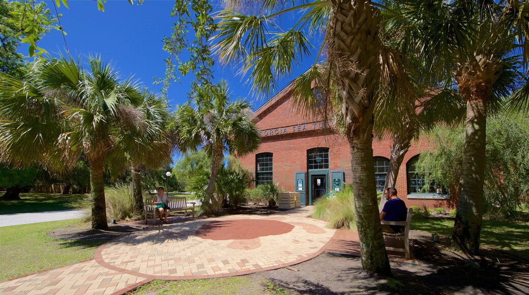 조지아 바다거북 센터 을 특징 정원