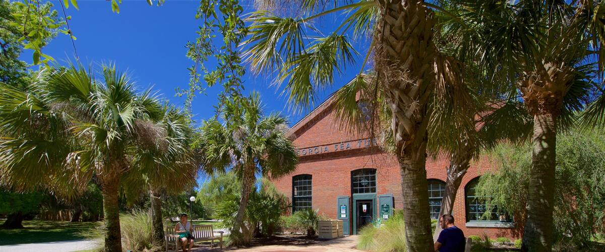 Georgia Sea Turtle Center inclusief een park