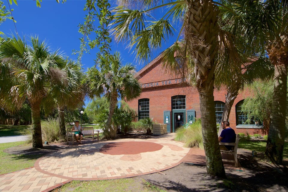 A brick building with a sign reading "Georgia Sea T" surrounded by palm trees and a paved walkway.