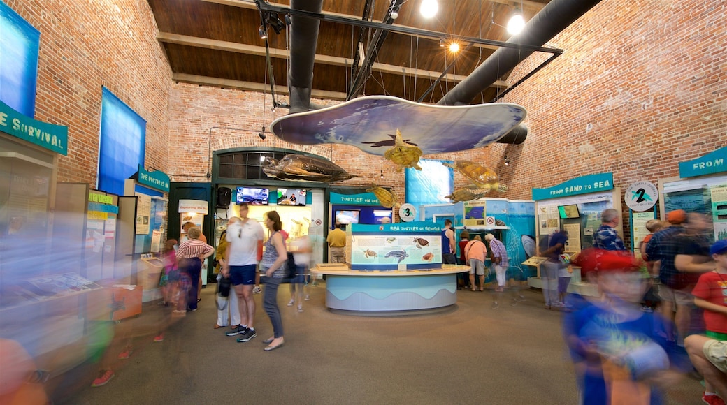 Georgia Sea Turtle Center que incluye vida marina y vistas interiores y también un pequeño grupo de personas