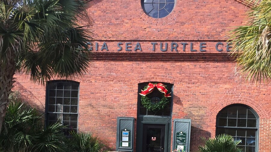 This was a great find!