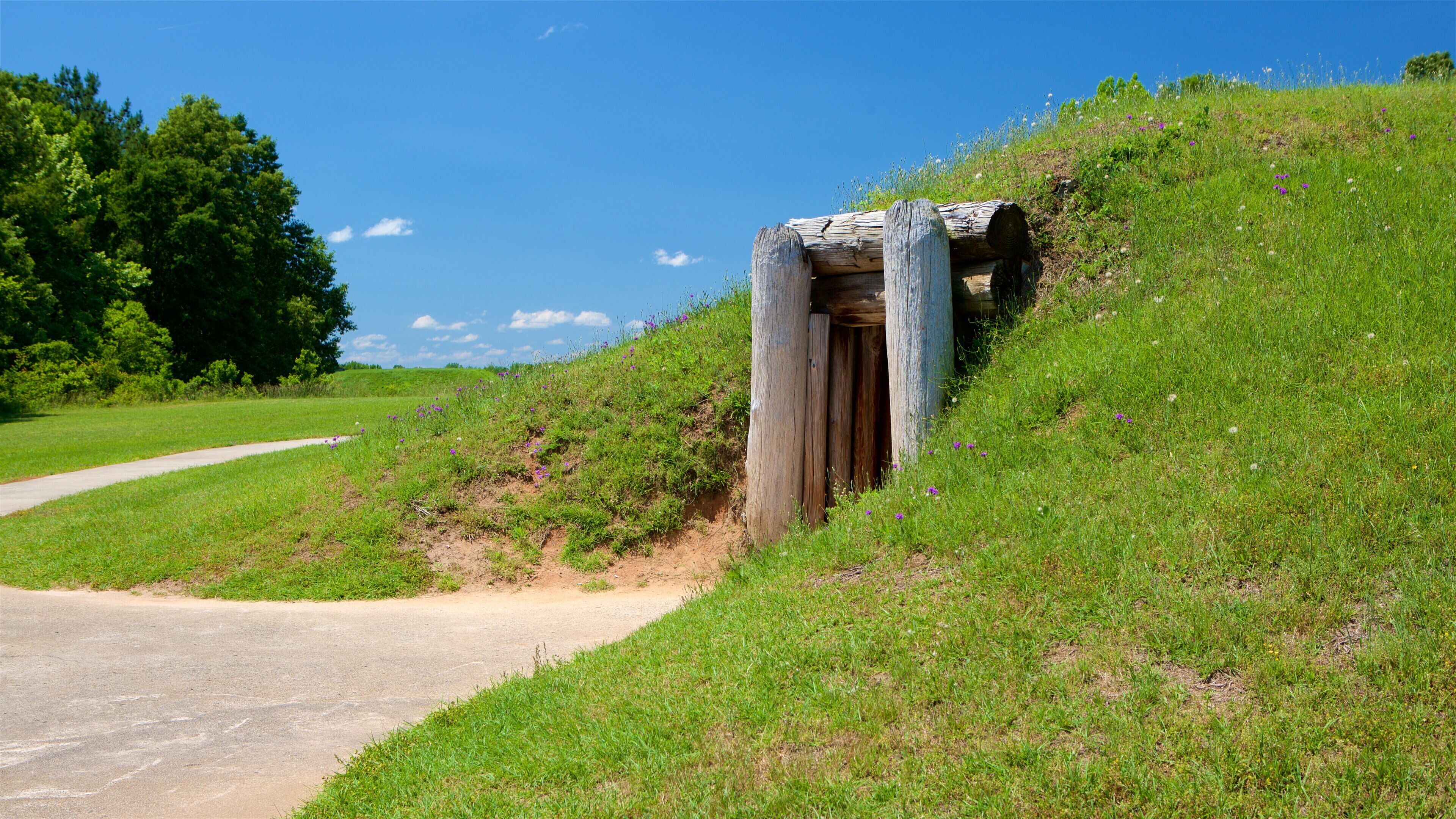 Ocmulgee National Monument featuring a park