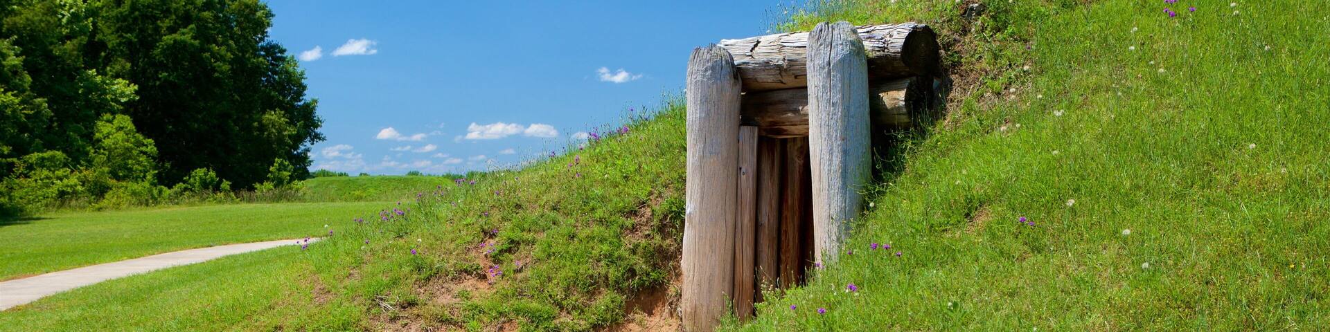 Ocmulgee National Monument featuring a park