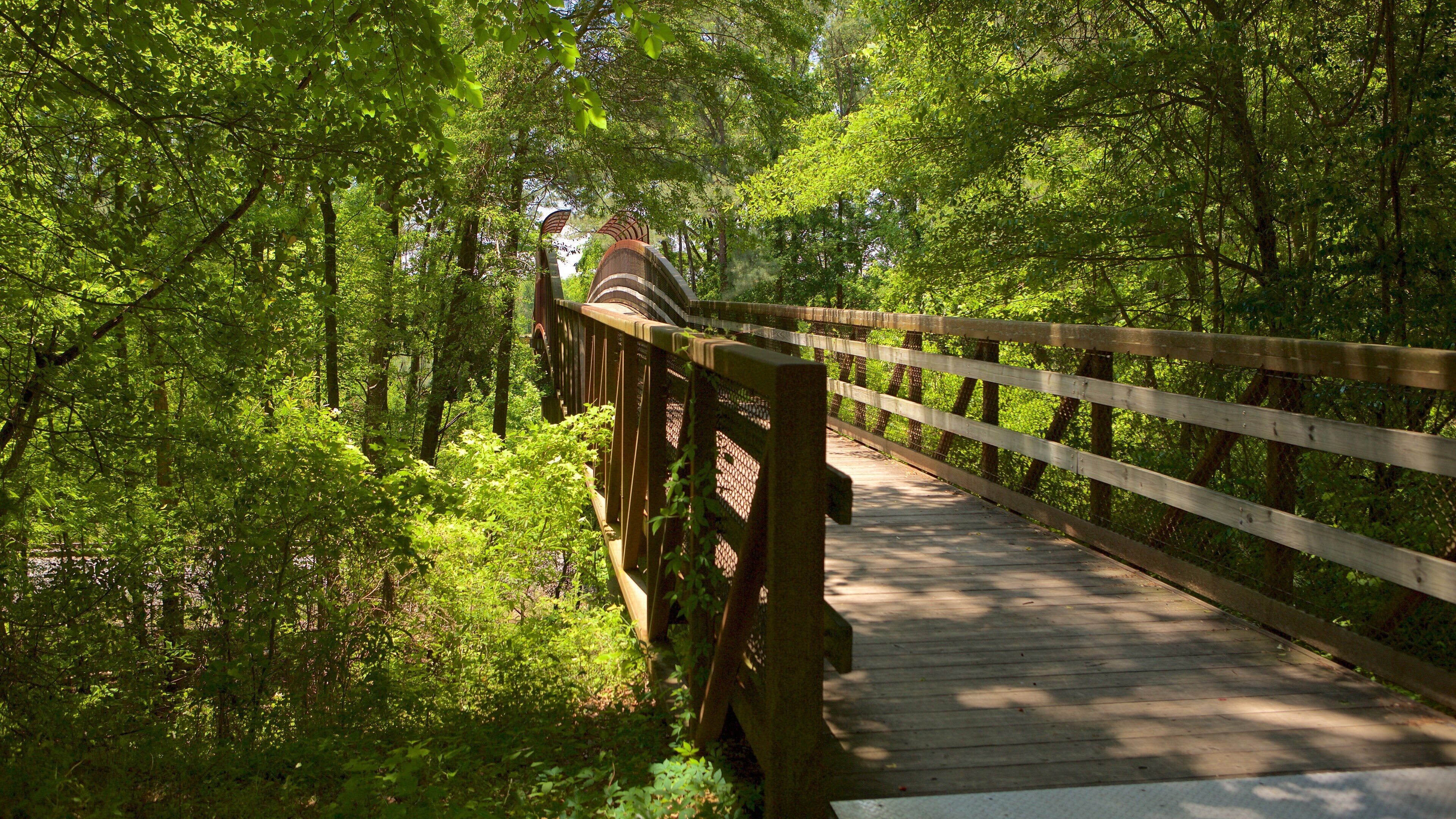 Ocmulgee National Monument which includes a bridge and forest scenes