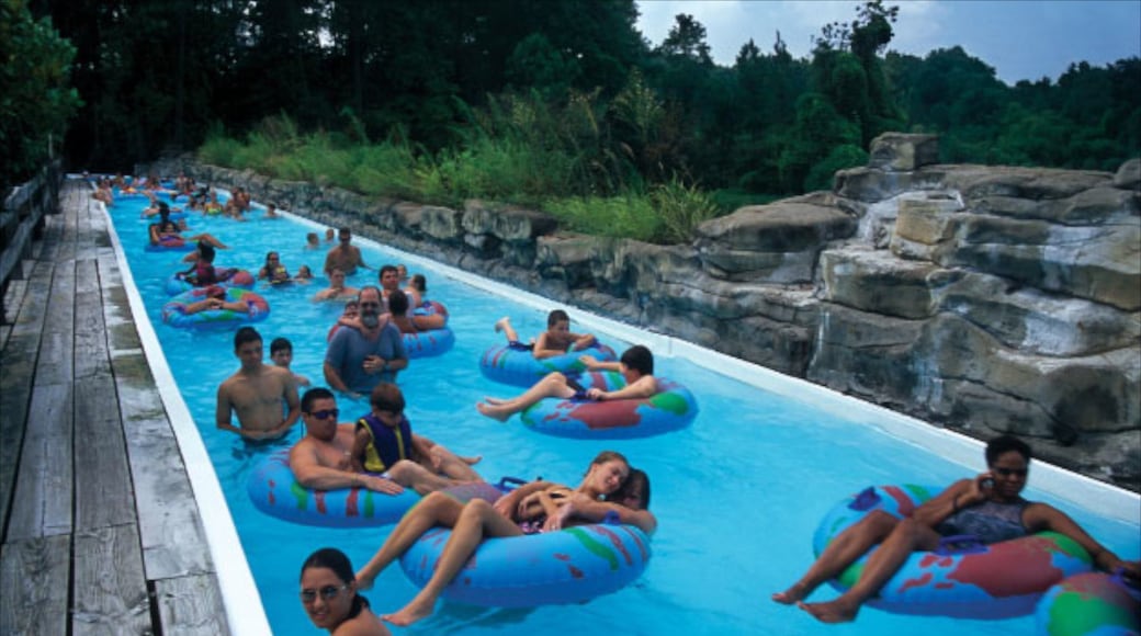 シックス フラッグス ホワイト ウォーター 表示 プール, ウォーターパーク と アトラクション