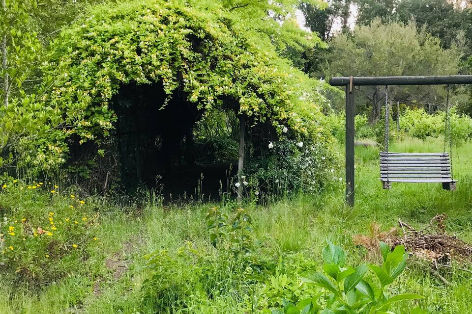 Um jardim exuberante com uma pérgola de madeira e um banco.