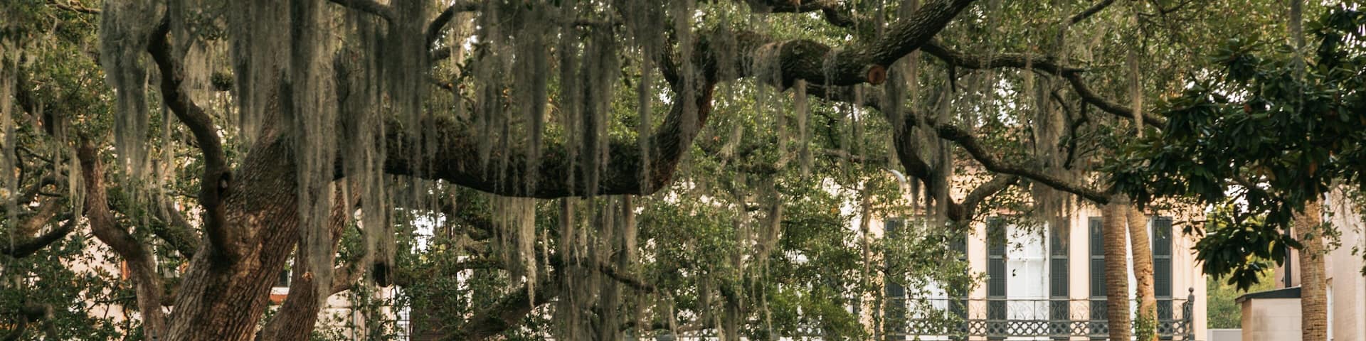 Calhoun Square which includes a small town or village and a house