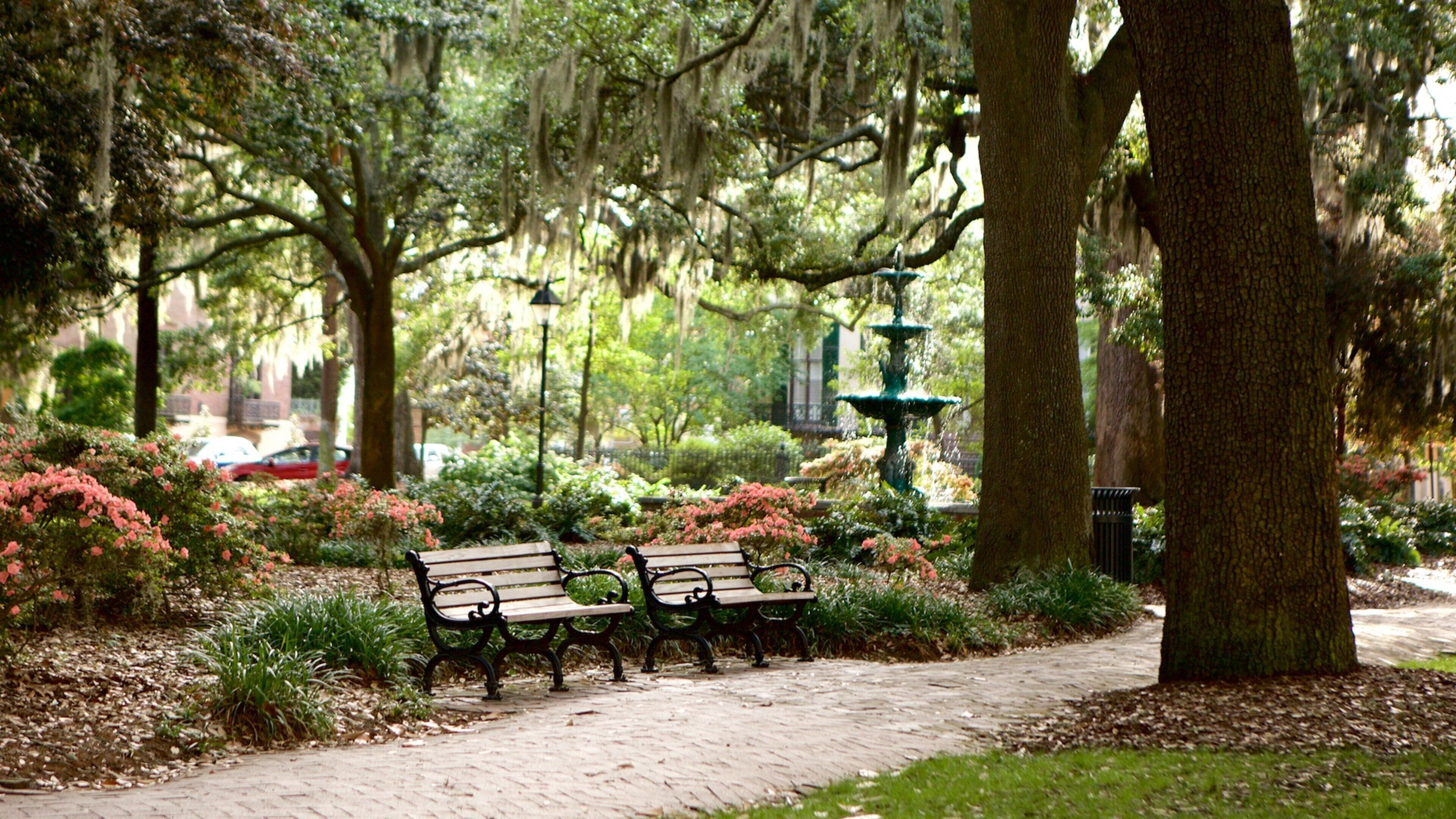 Cathedral of St. John the Baptist que incluye un jardín y una fuente