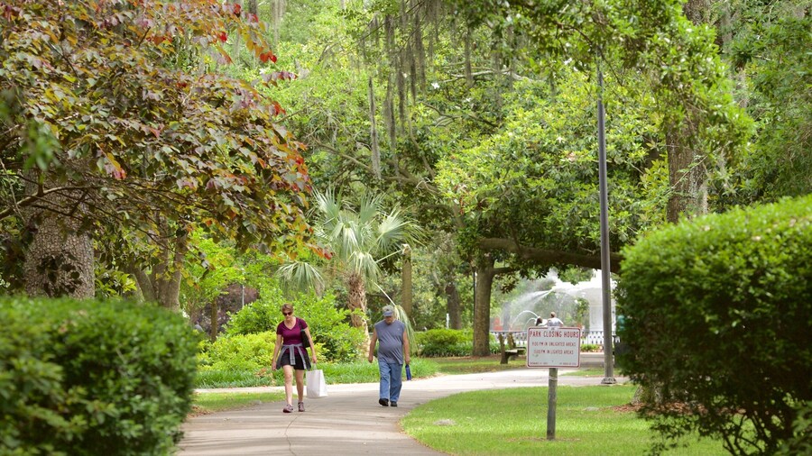 Forsyth Park caracterizando um jardim assim como um pequeno grupo de pessoas
