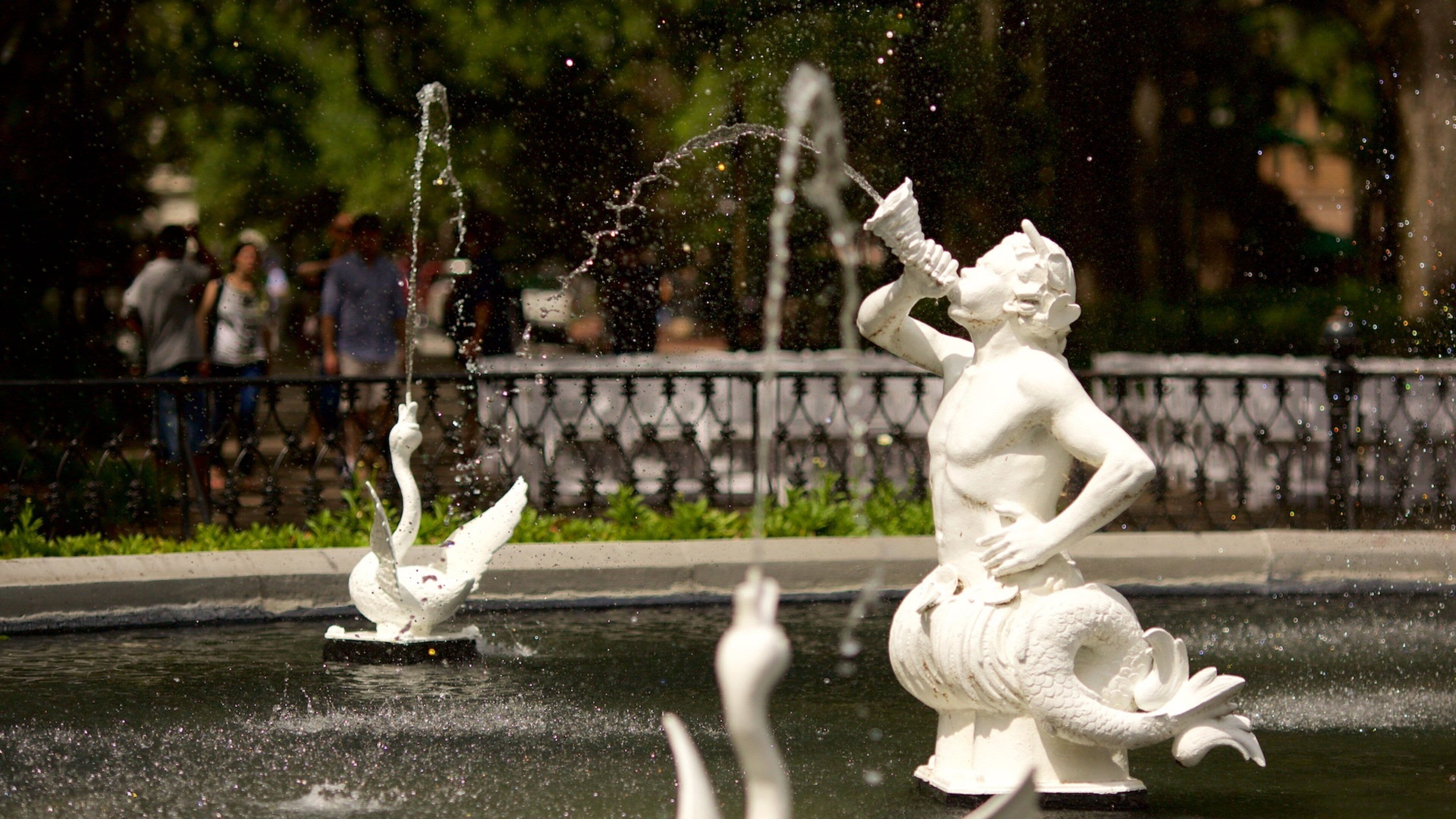 Forsyth Park which includes a fountain