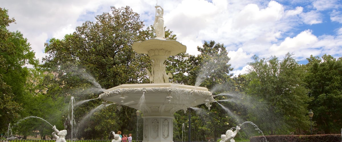 Forsyth Park which includes a fountain