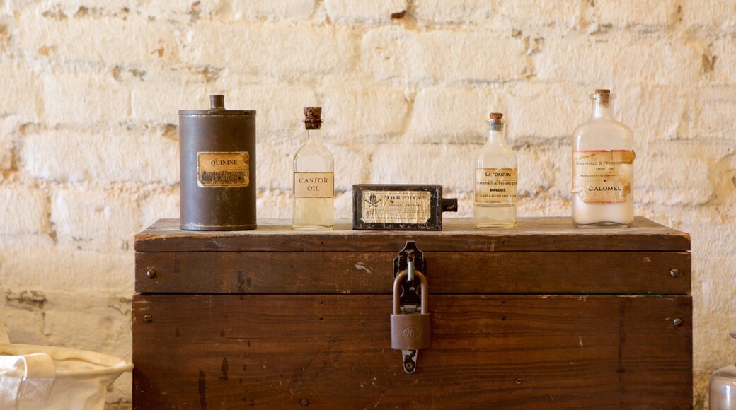 傑克森舊堡 呈现出 懷舊元素 和 內部景觀