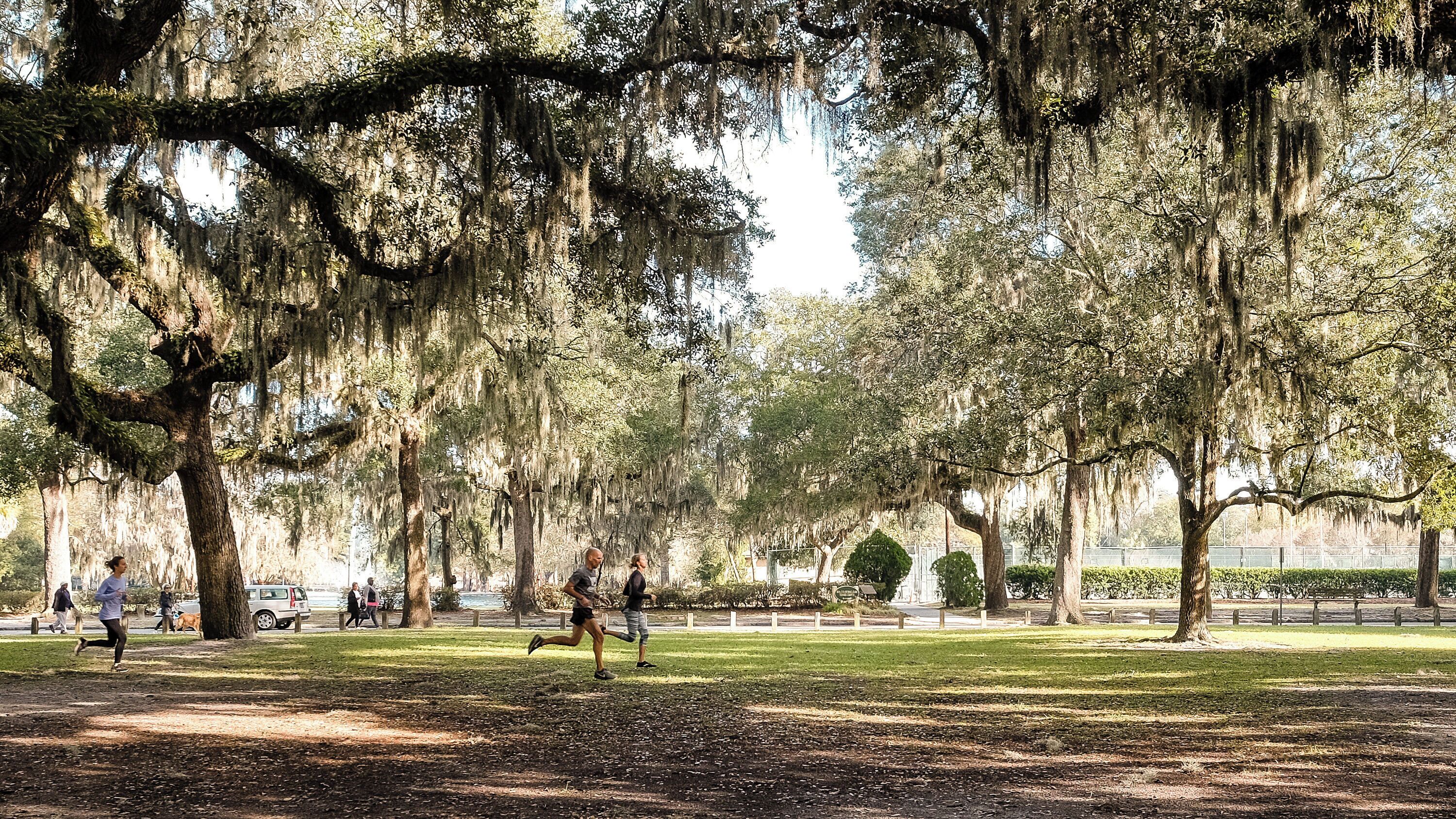 グレイソン スタジアム
