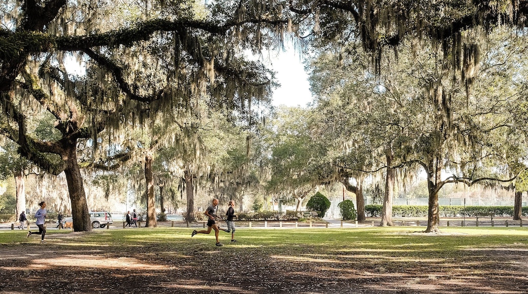 グレイソン スタジアム