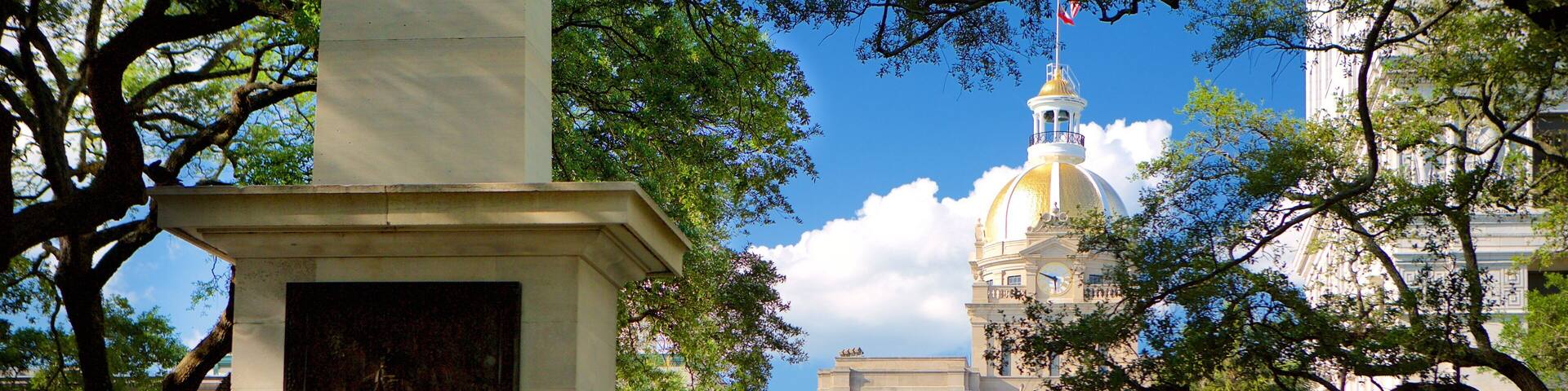 Johnson Square showing a park