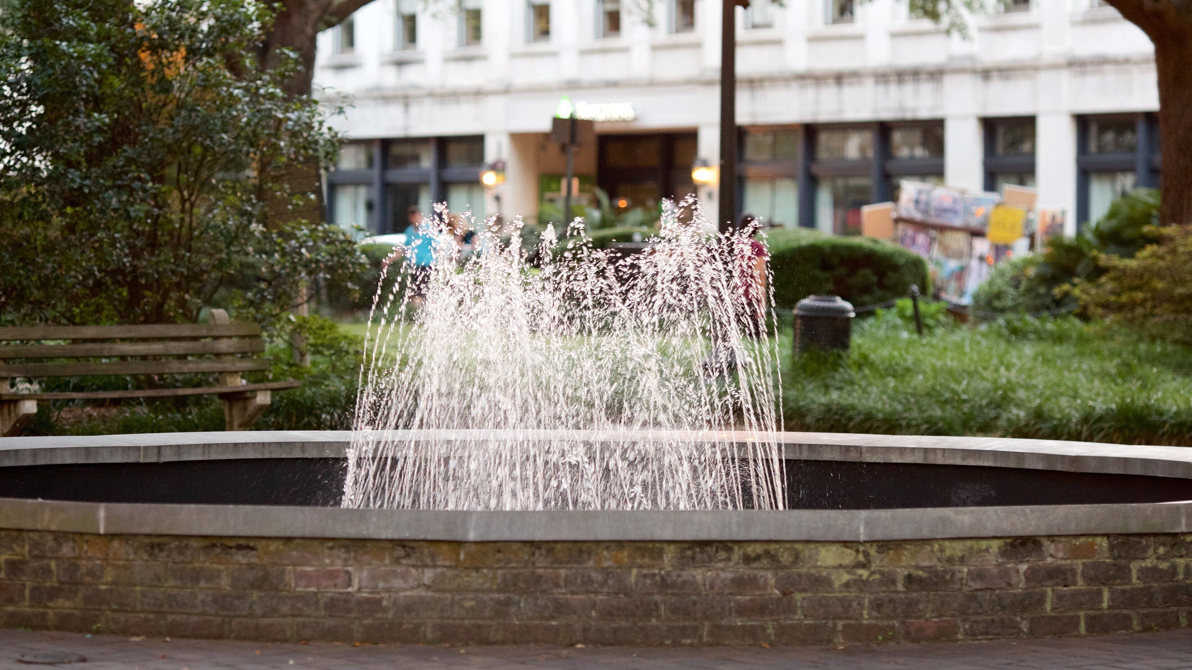 Georgia fasiliteter samt fjell og park