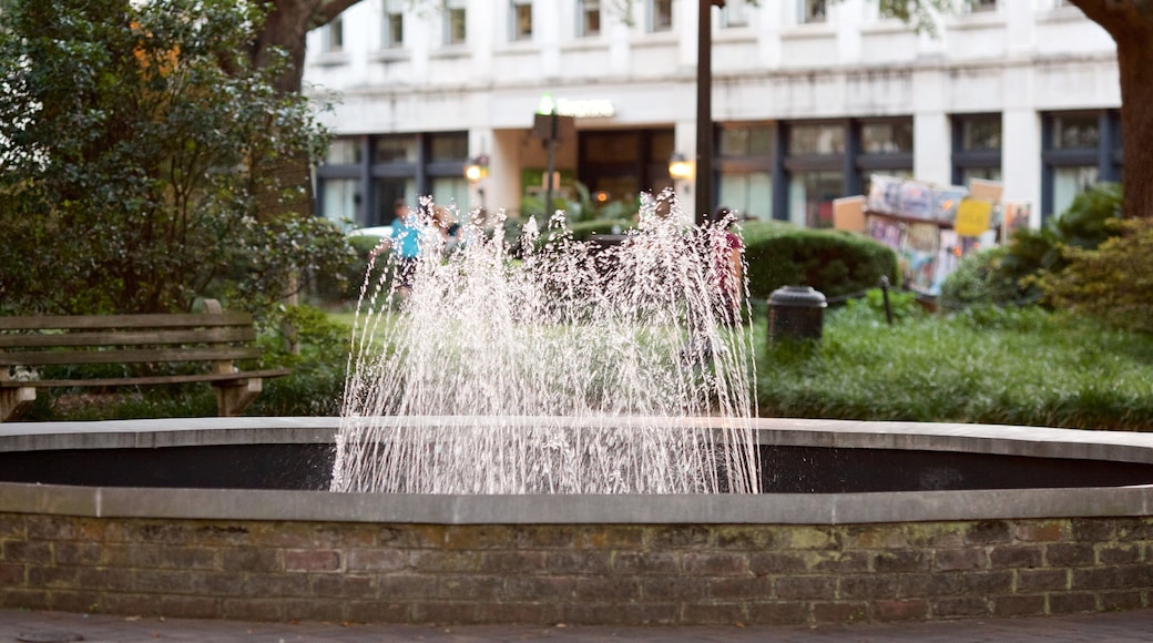 Georgia fasiliteter samt fjell og park