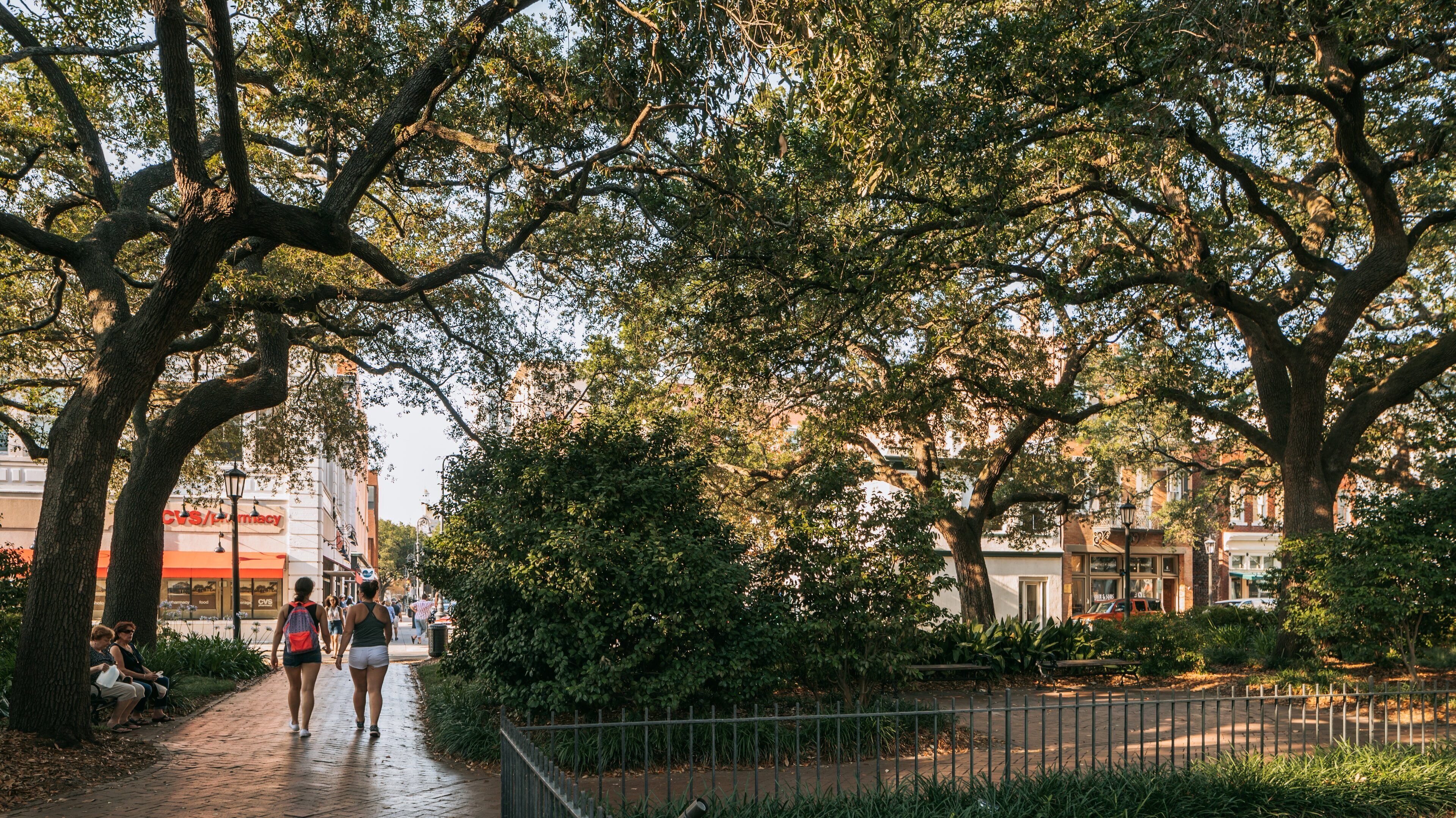 Wright Square showing a park