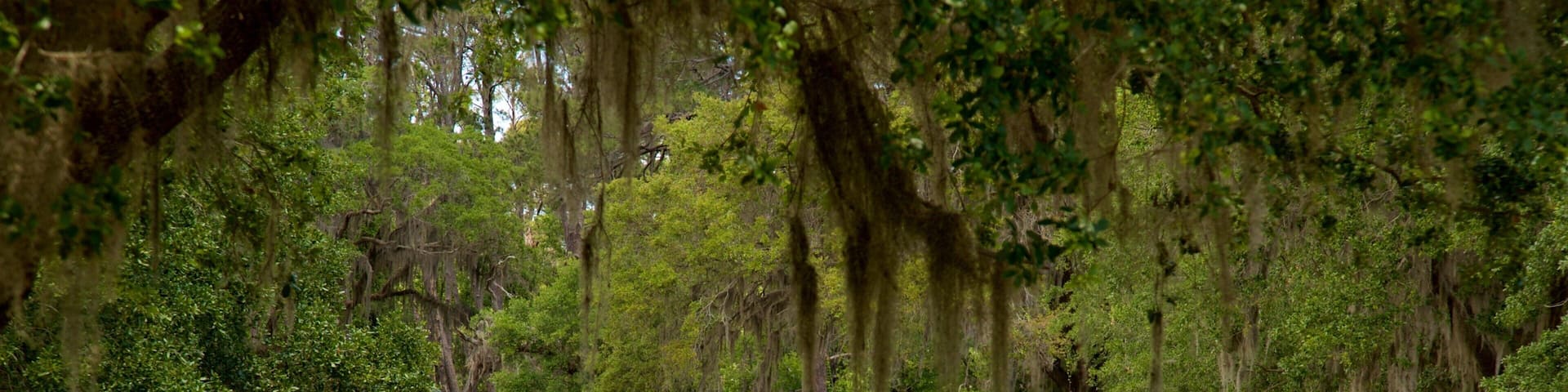 Fort Frederica National Monument which includes a garden