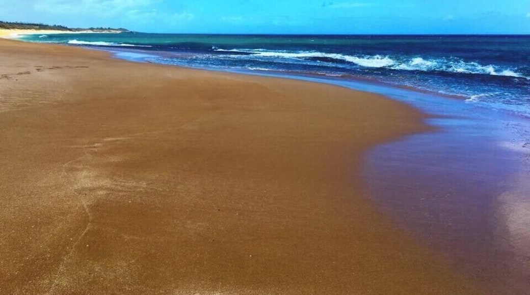 Papohaku is one of the largest beaches in all of Hawaii and the best part about it is: there's almost never anyone there! It is a great beach for shelling too. #LifeatExpedia