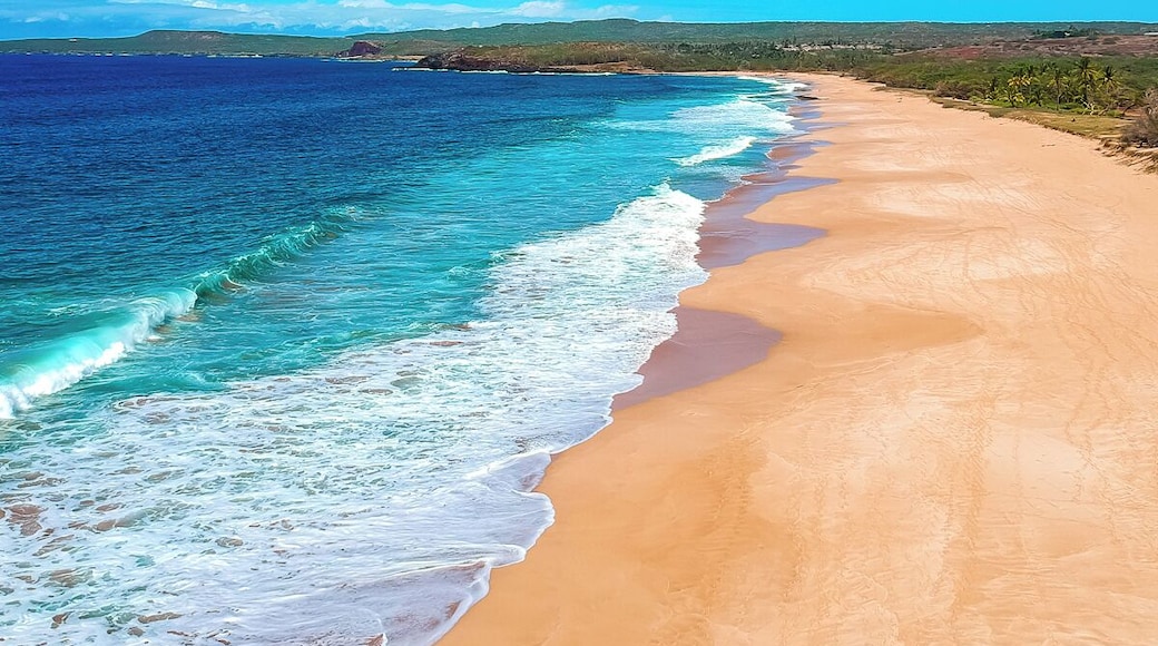 Look at all the people awesome place to relax and enjoy the sun