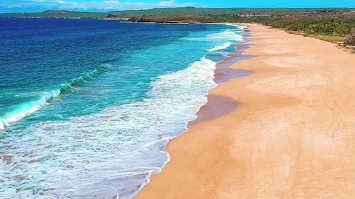 Look at all the people awesome place to relax and enjoy the sun