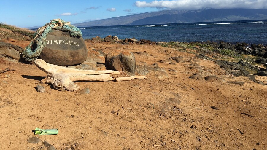 When in Lanai, rent a Jeep to explore the island! #lifeatexpedia