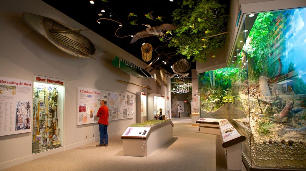 Musée d\'état de l\'Illinois