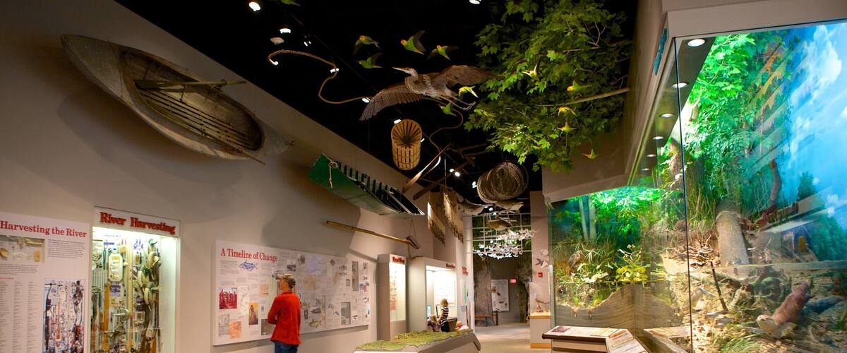 Illinois State Museum which includes interior views