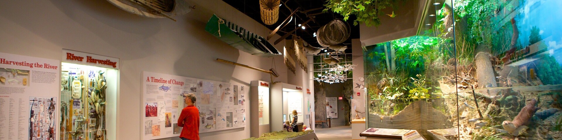 Illinois State Museum showing interior views