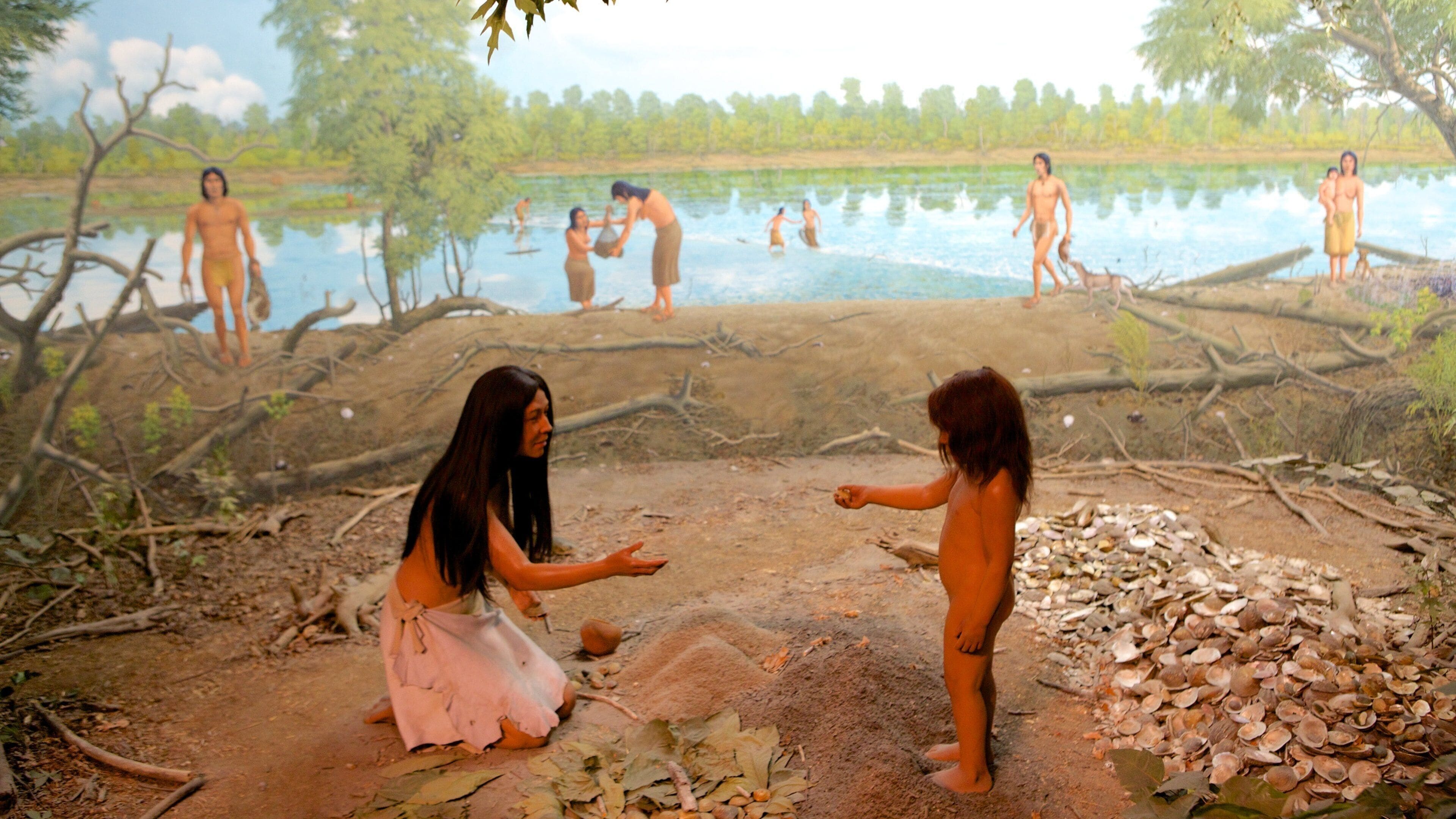 Illinois State Museum which includes interior views