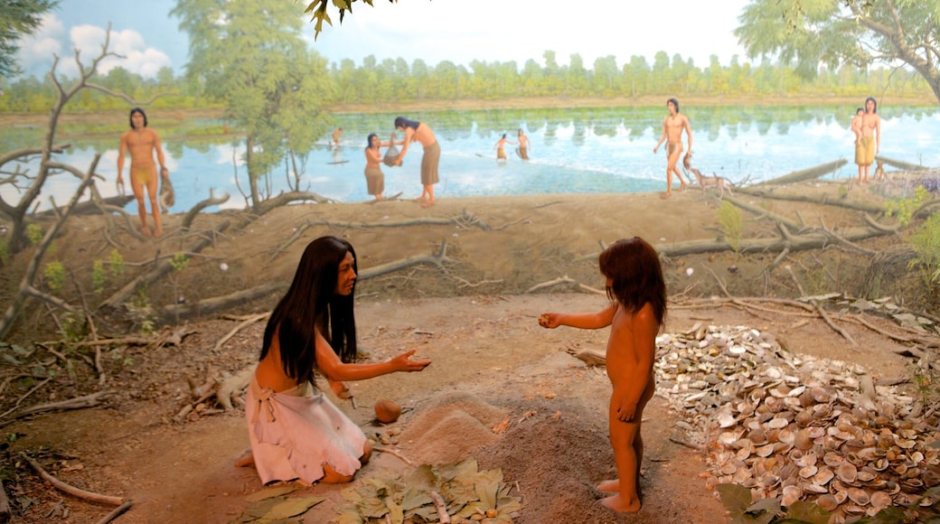 Illinois State Museum which includes interior views