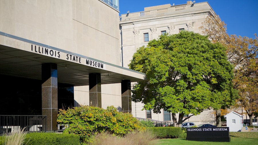 Illinois State Museum showing a park