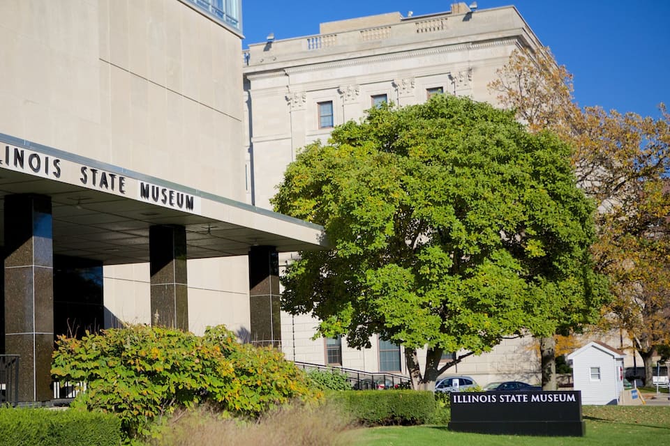 The Illinois State Museum building with a large tree in front.