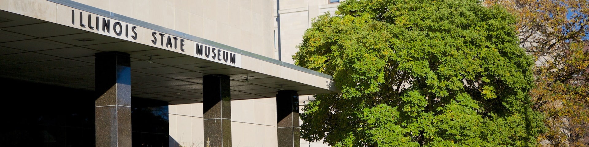 Illinois State Museum showing a garden