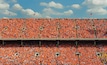 Memorial Stadium (stade)