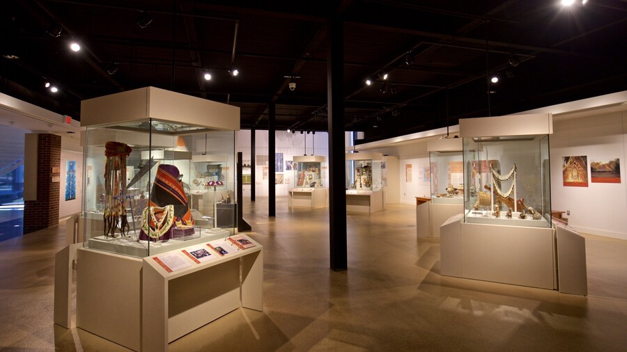Spurlock Museum ofreciendo vistas interiores