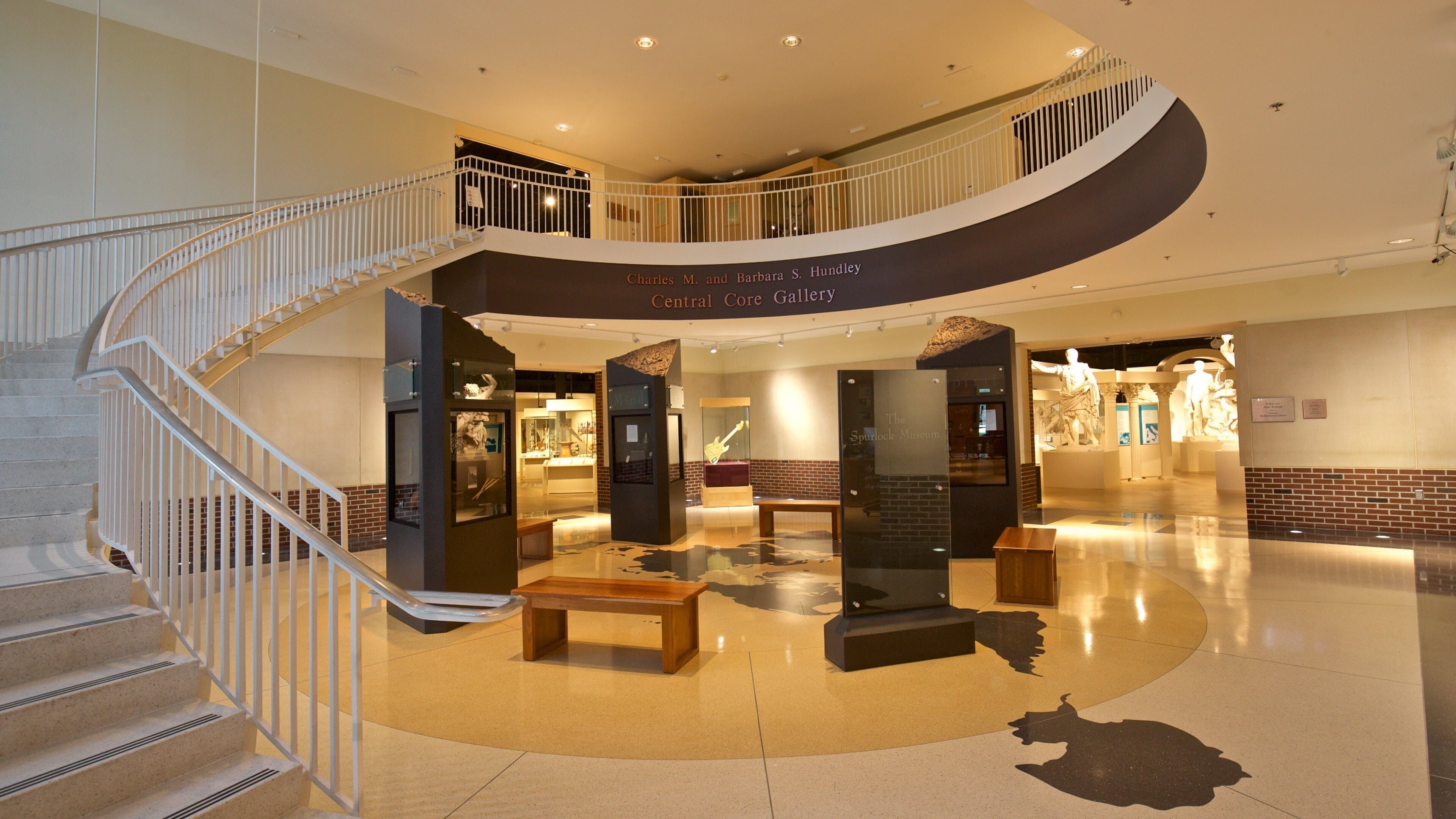 A modern interior with a curved staircase, a central core gallery, and a statue display.