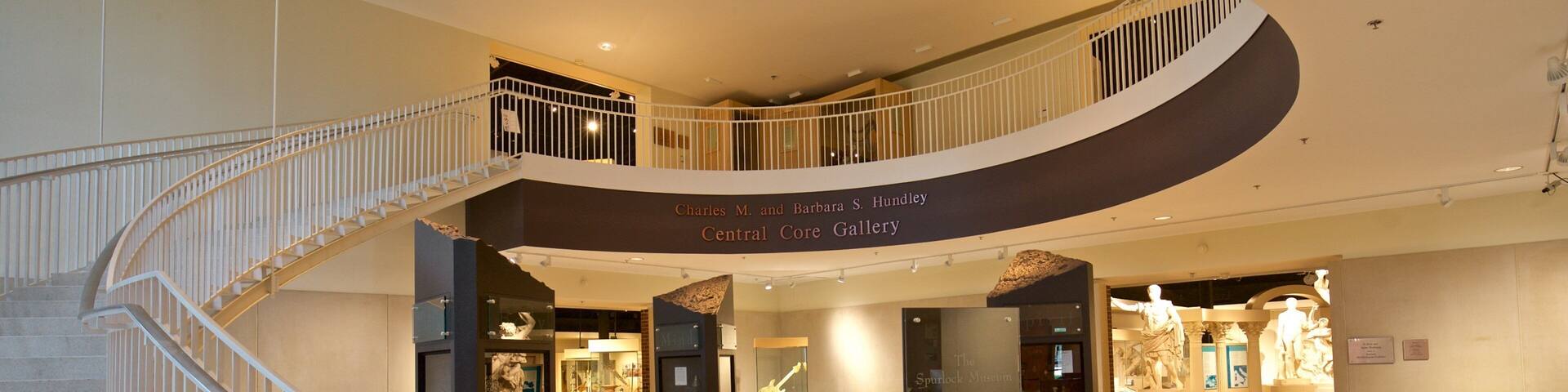 A modern interior with a curved staircase, a central core gallery, and a statue display.