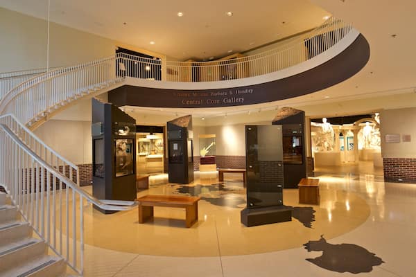 Um interior moderno com uma escada em curva, uma galeria central e uma exposição de estátuas.