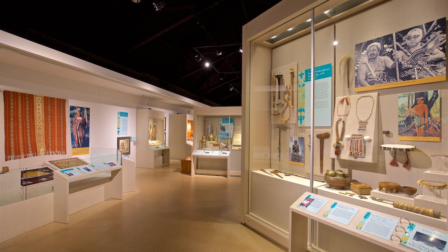 Spurlock Museum featuring interior views