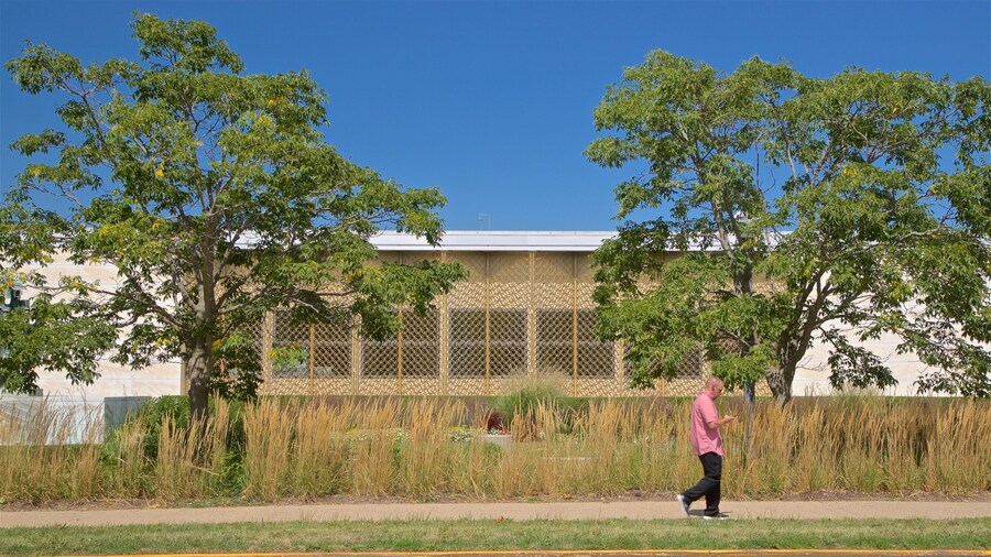Krannert Art Museum que incluye un jardín y también un hombre