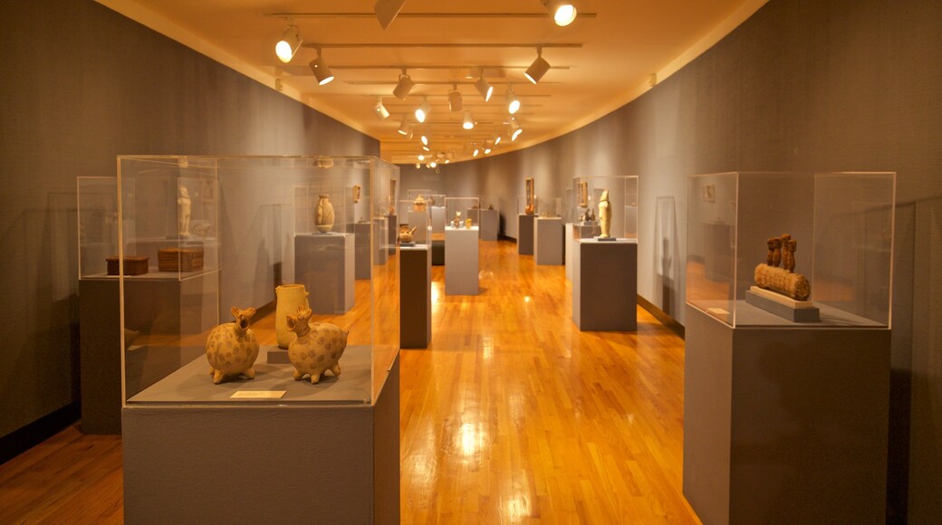 Krannert Art Museum ofreciendo vistas interiores
