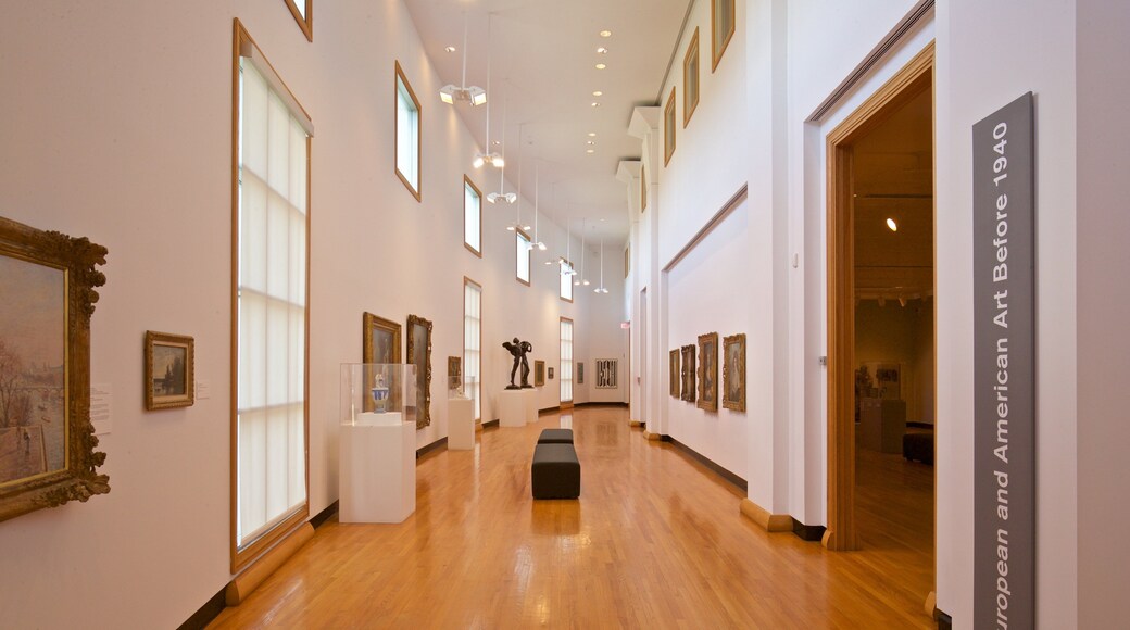 Krannert Art Museum featuring interior views and art