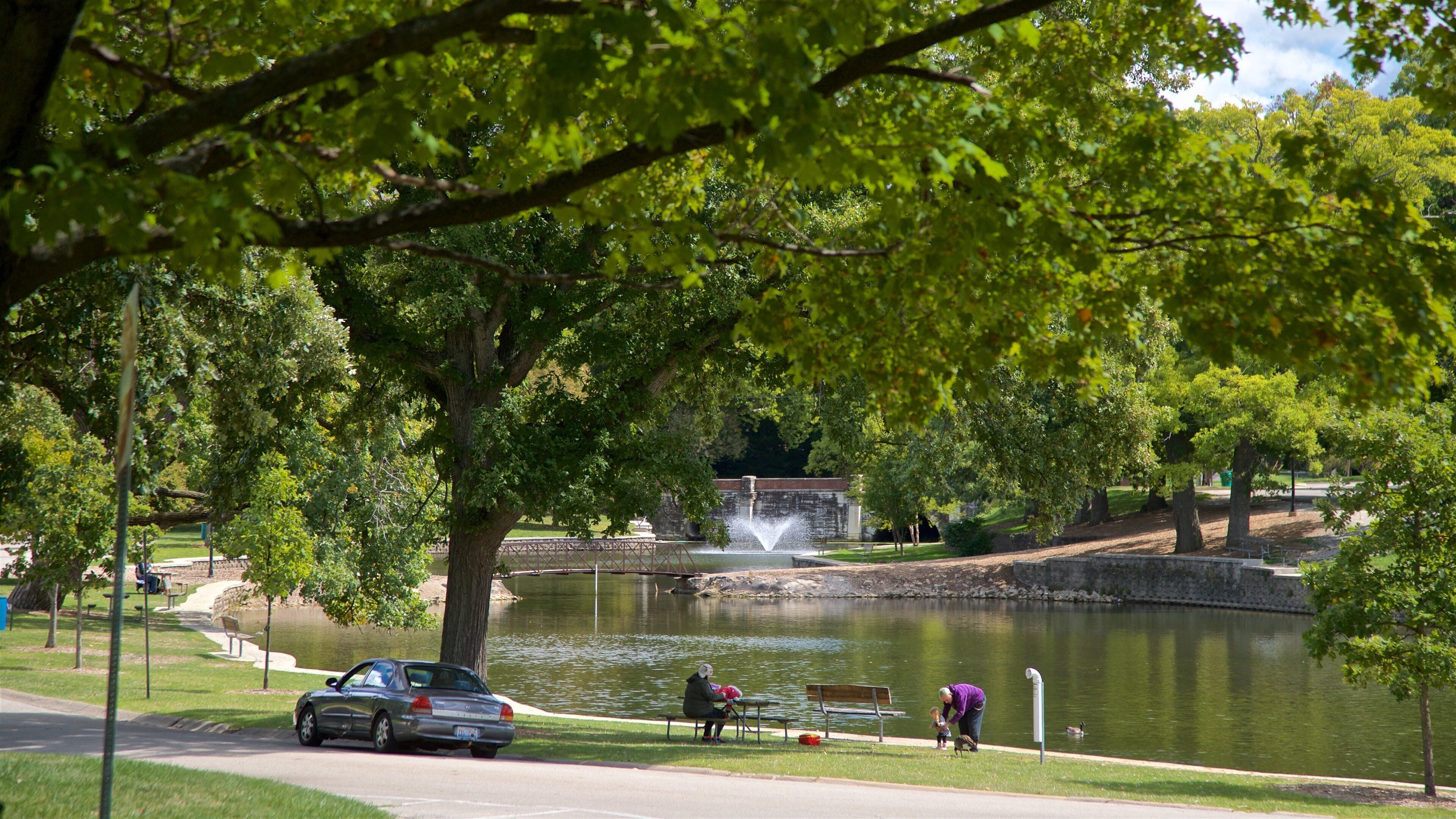 Miller Park Zoo featuring a pond, zoo animals and bird life