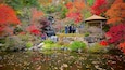 A serene garden with a waterfall, vibrant autumn foliage, and a traditional gazebo.