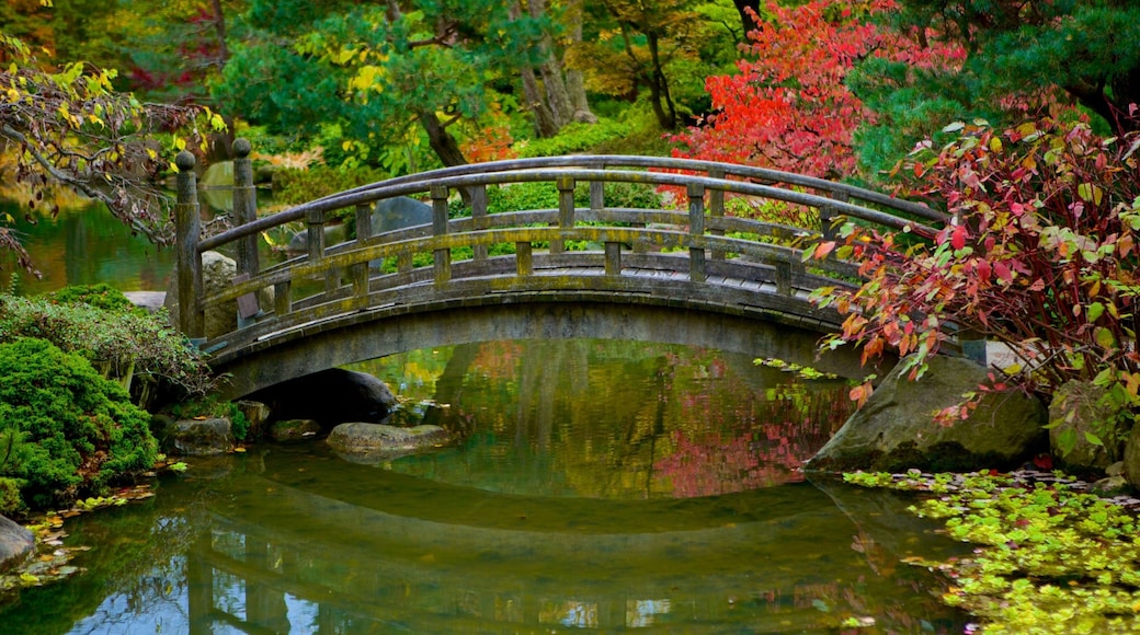 安德森日本花园